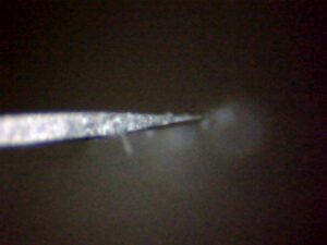 microscope-feather-blade-angle2