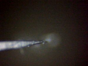 microscope-feather-blade-angle4